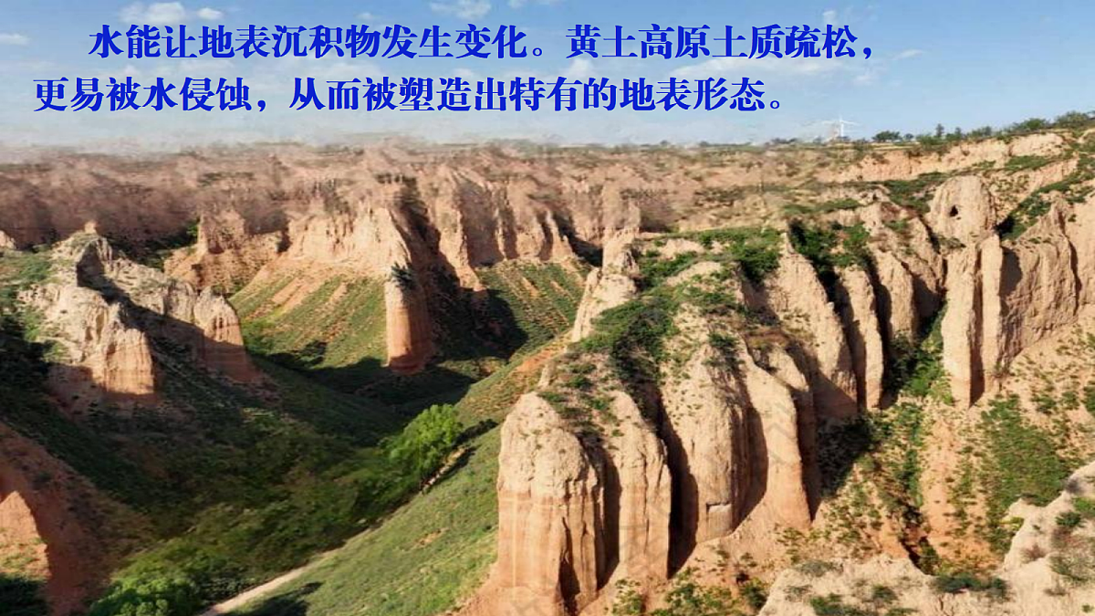 18546572第3页