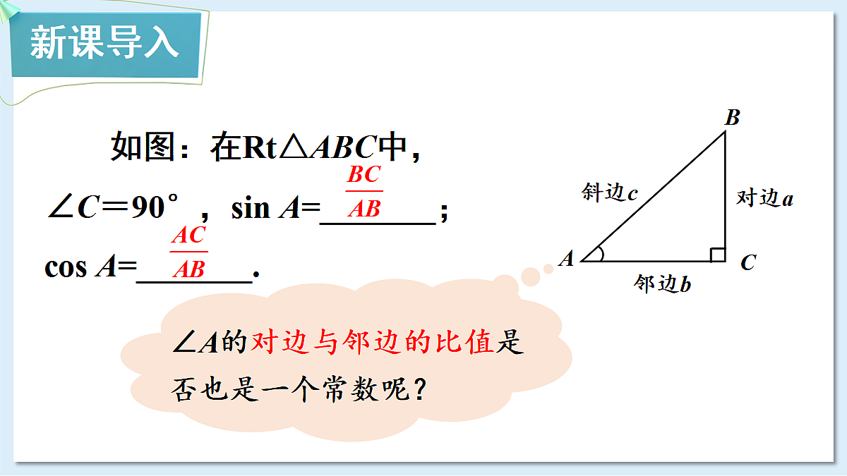 18549855第2页