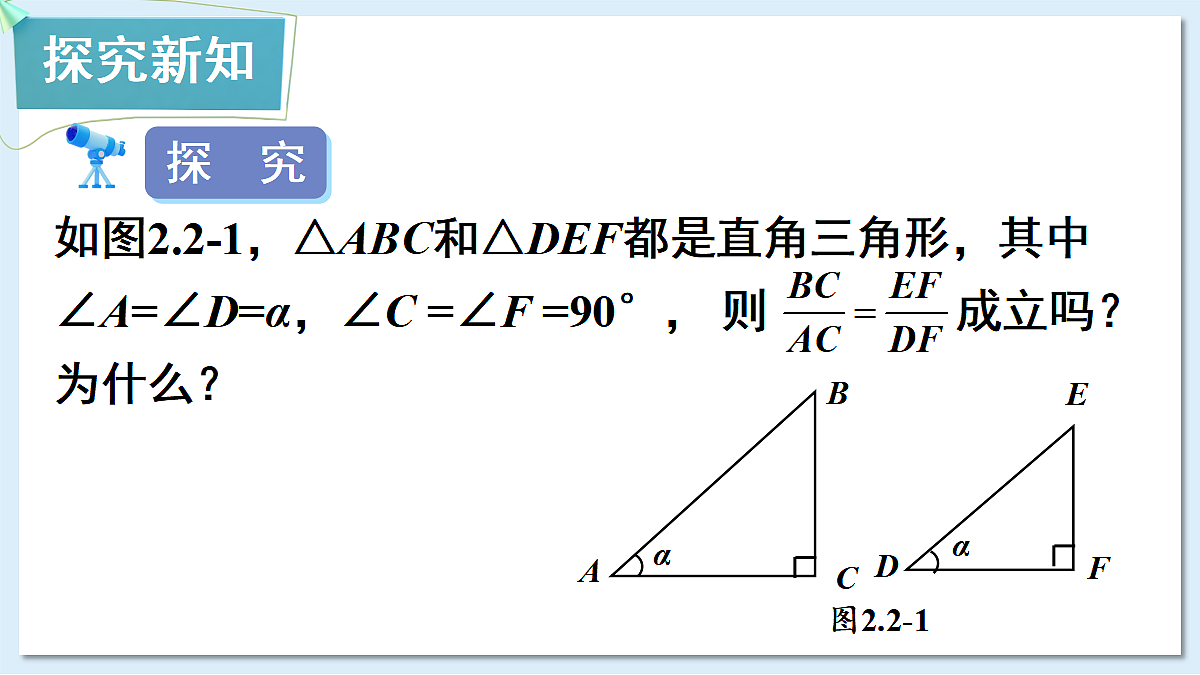 18549855第3页