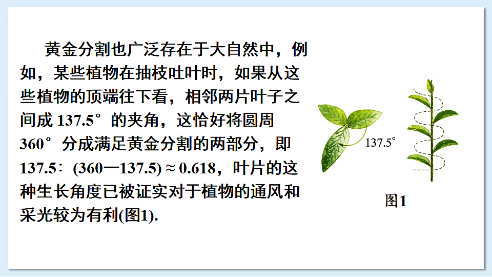 数学与文化 美妙的黄金分割第6页