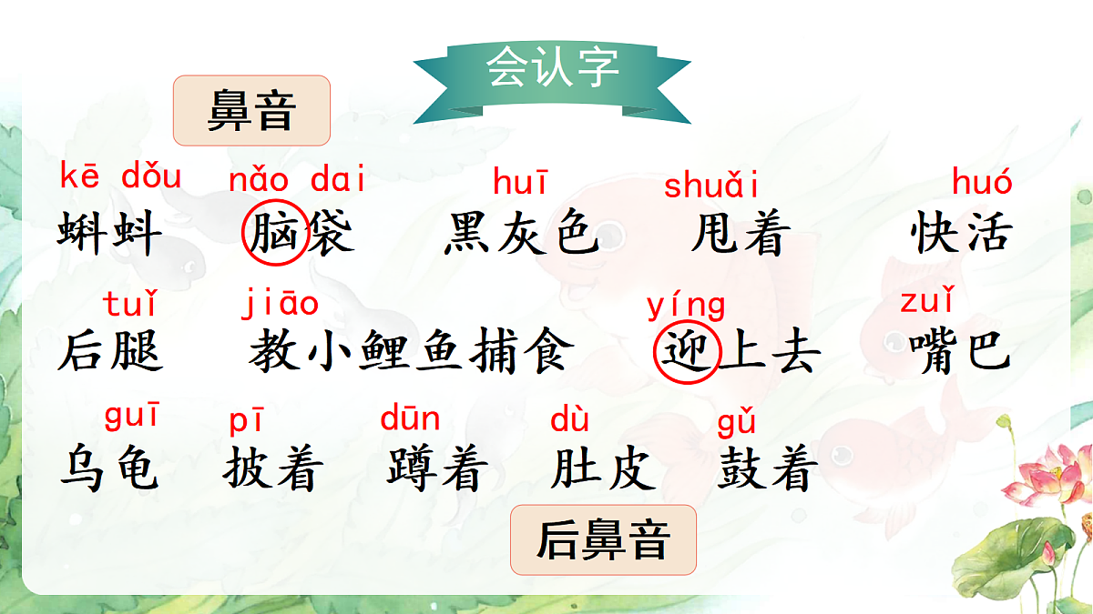 18551164第5页