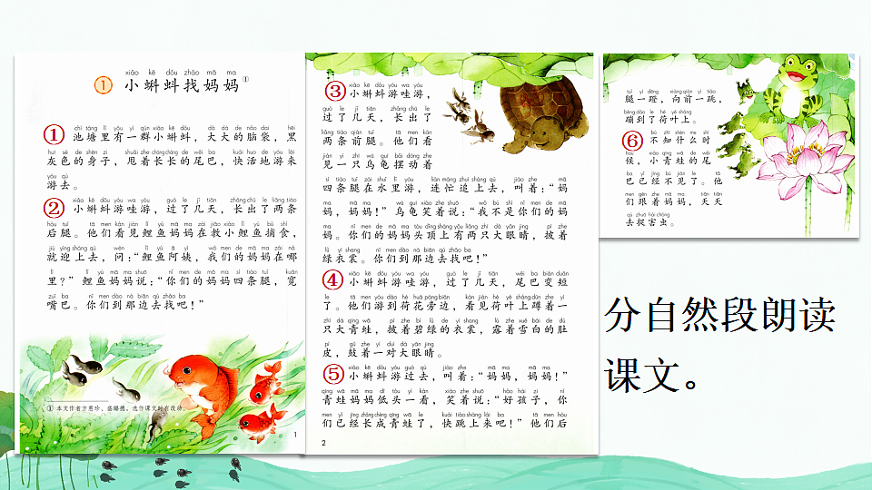 18551165第7页
