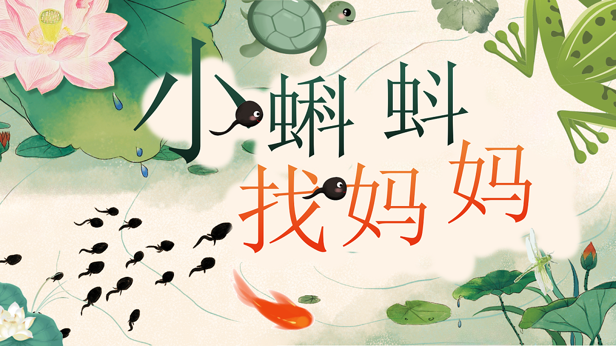 18551168第7页