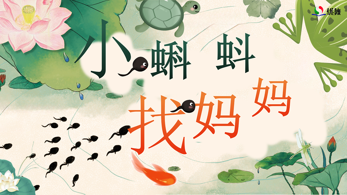 18551169第1页