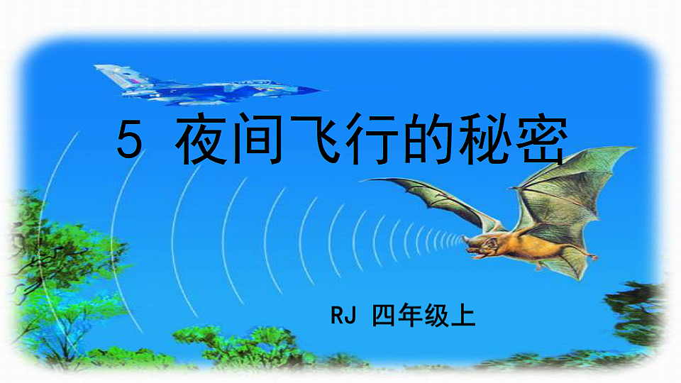 18551914第2页