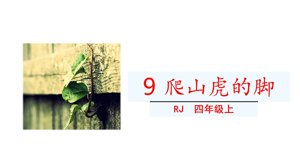 18551917第2页