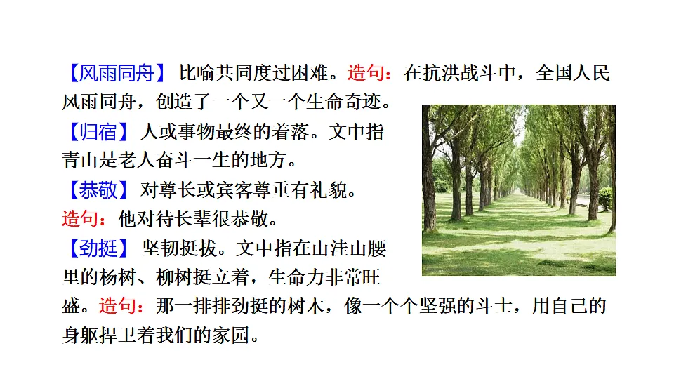 18551946第8页