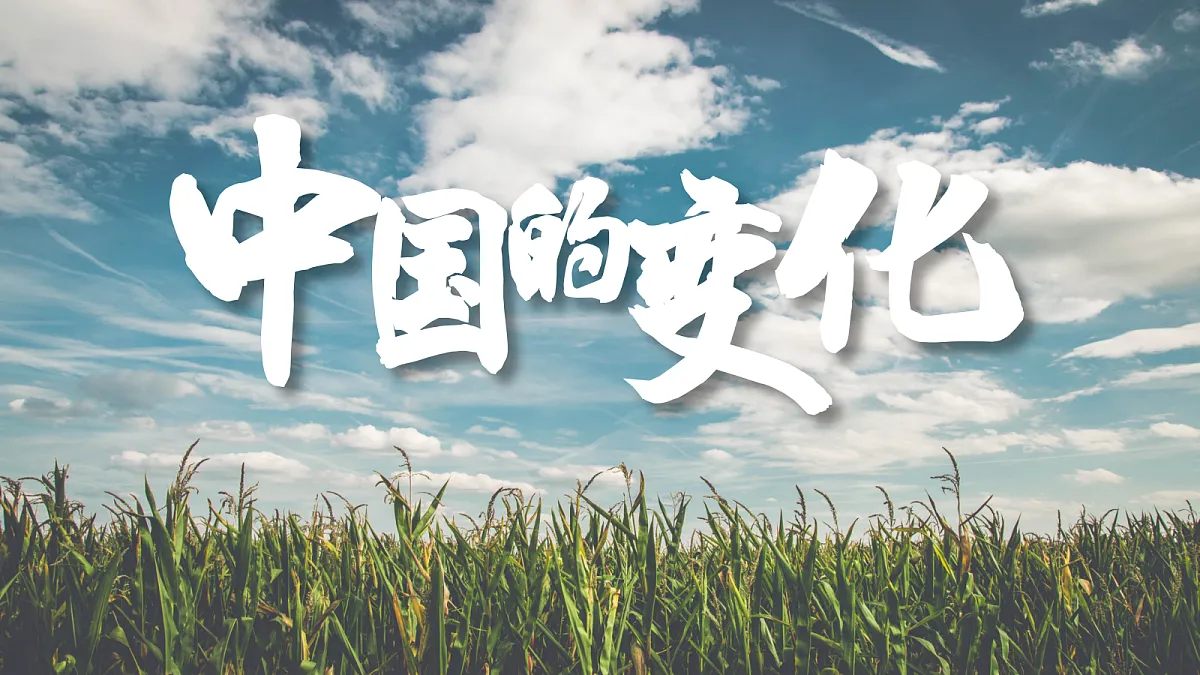 18552520第3页