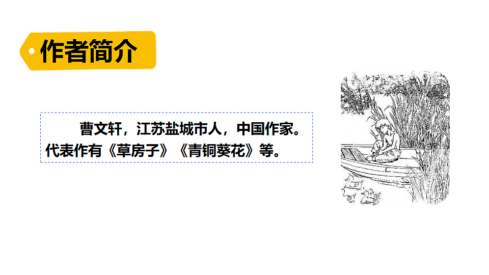 18553158第4页