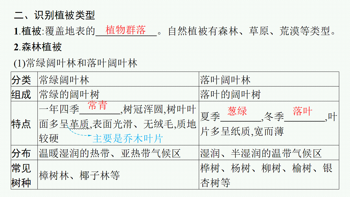 18554598第8页