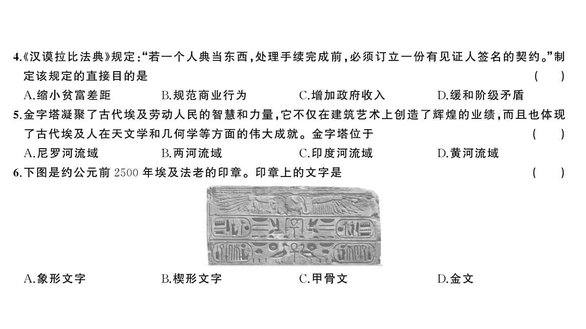 18555563第3页