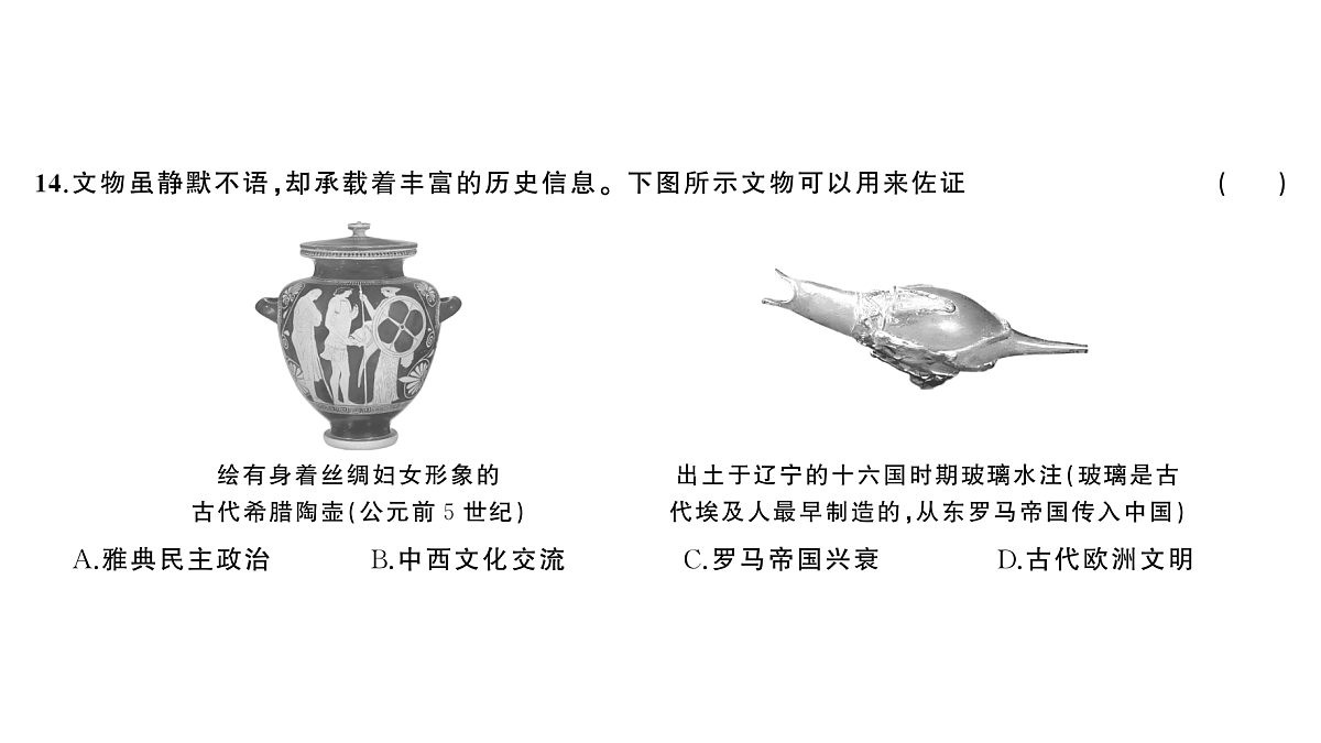 18555563第7页