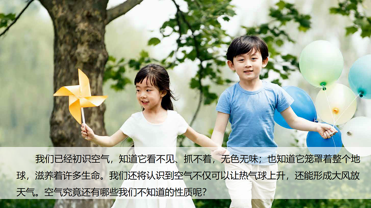 18555822第2页