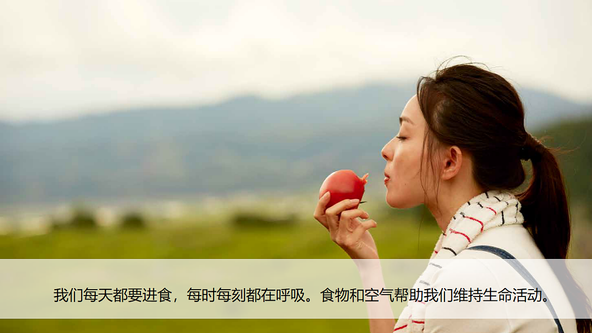 18555832第2页