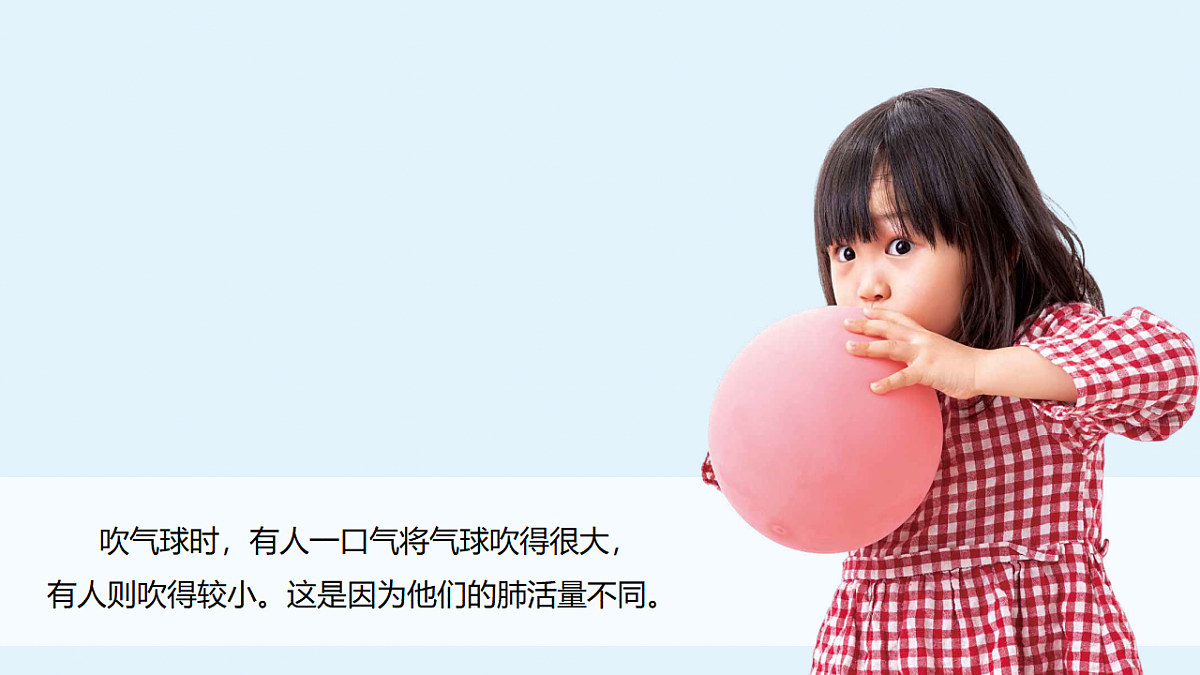 18555835第2页