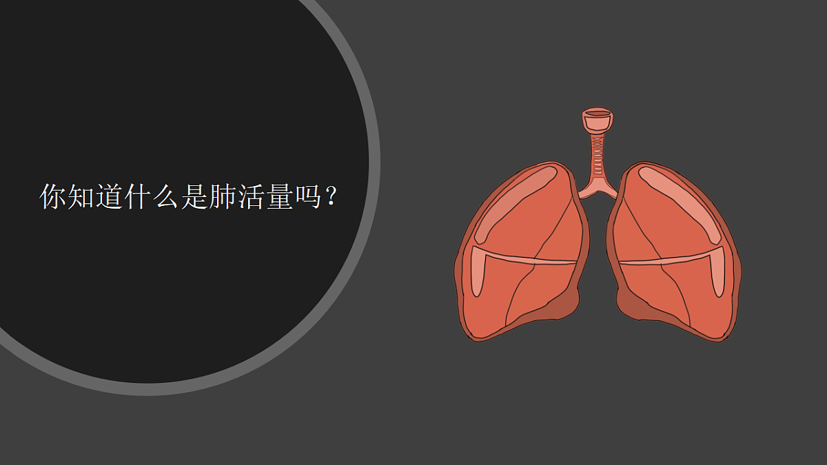 18555835第4页