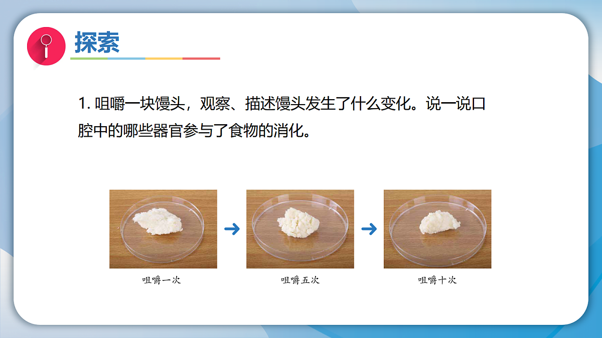 18555836第5页