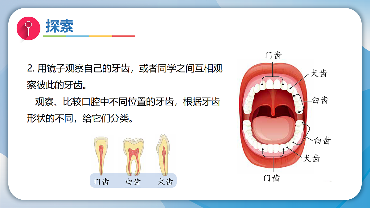 18555836第7页