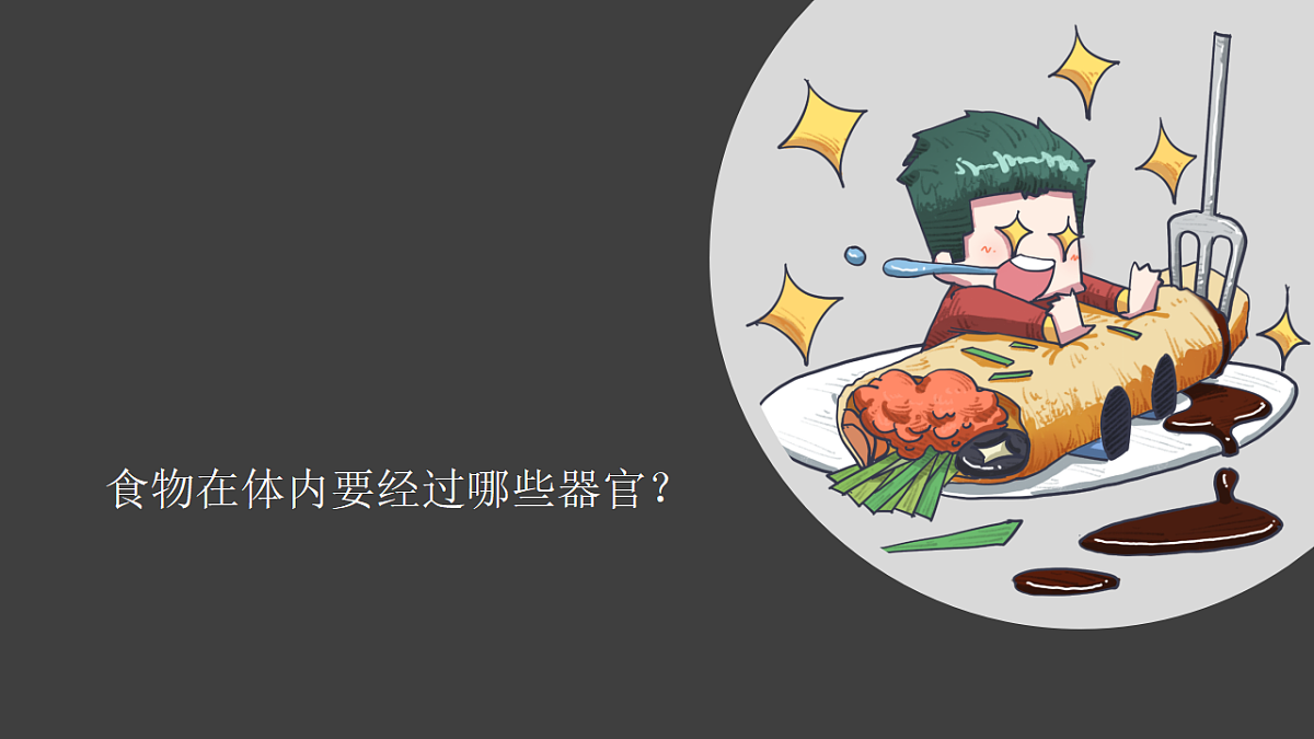 18555838第4页