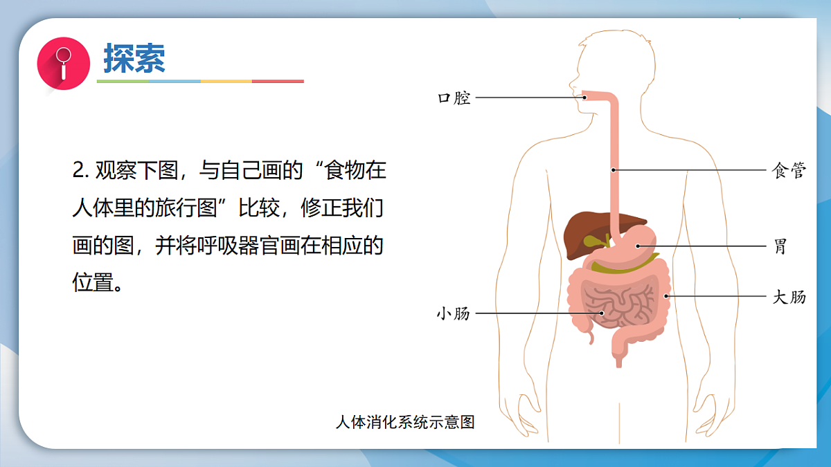 18555838第8页