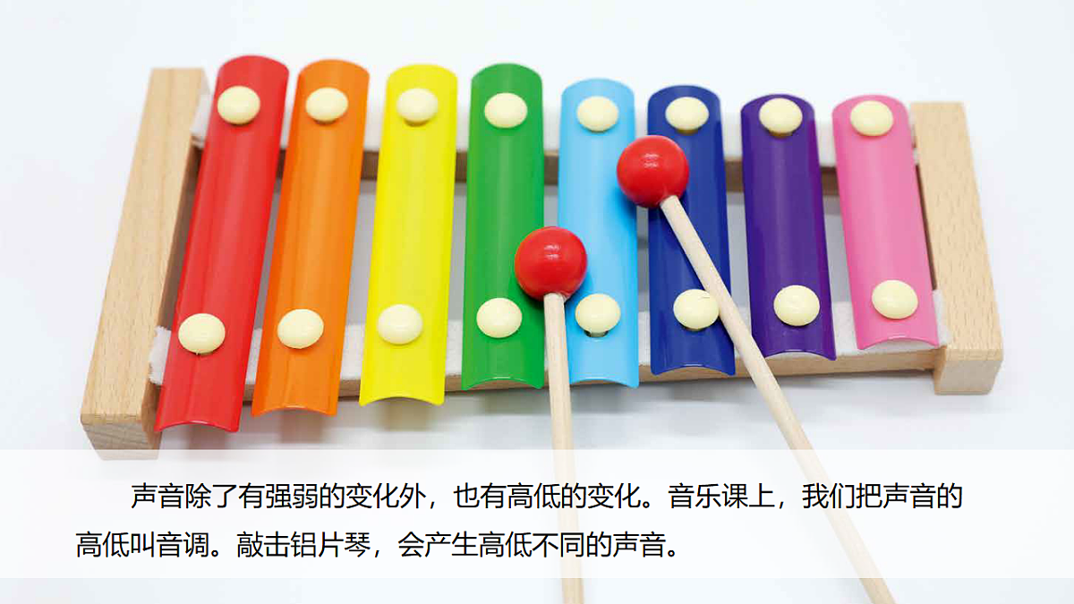 18555842第2页