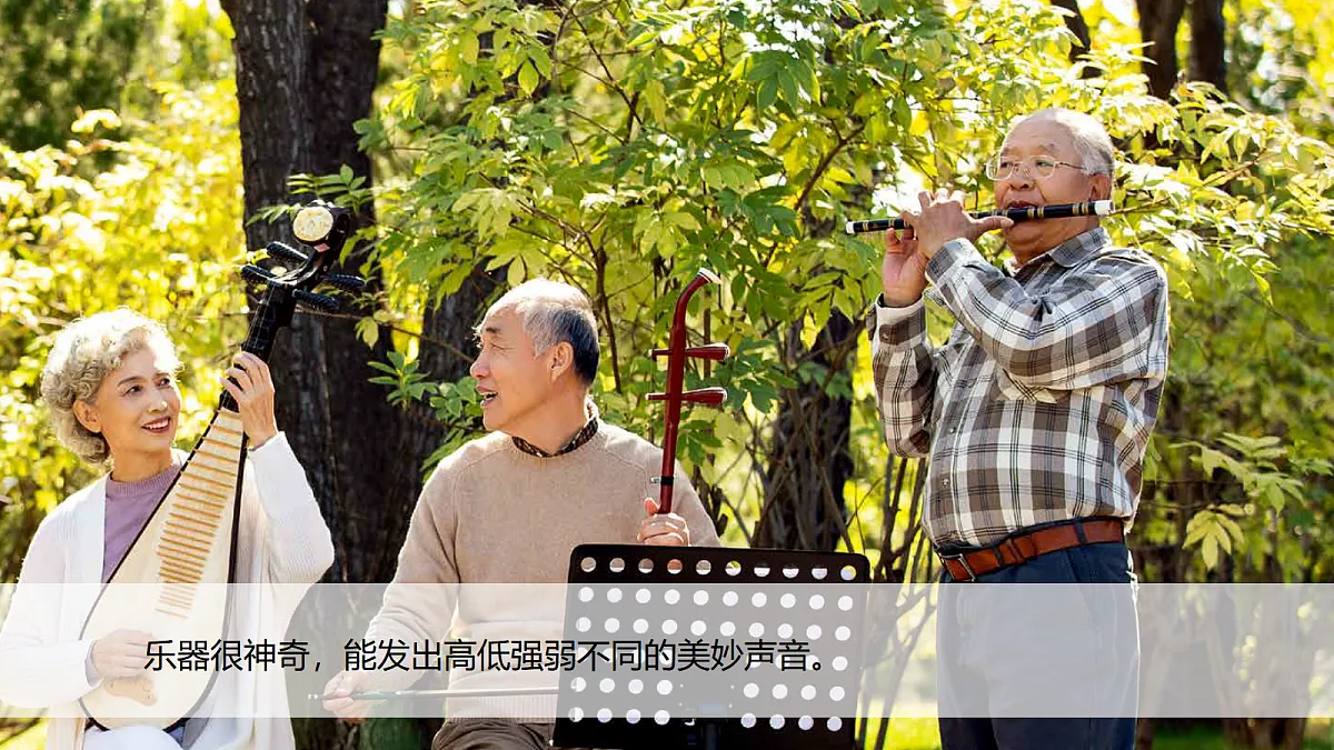 18555843第2页