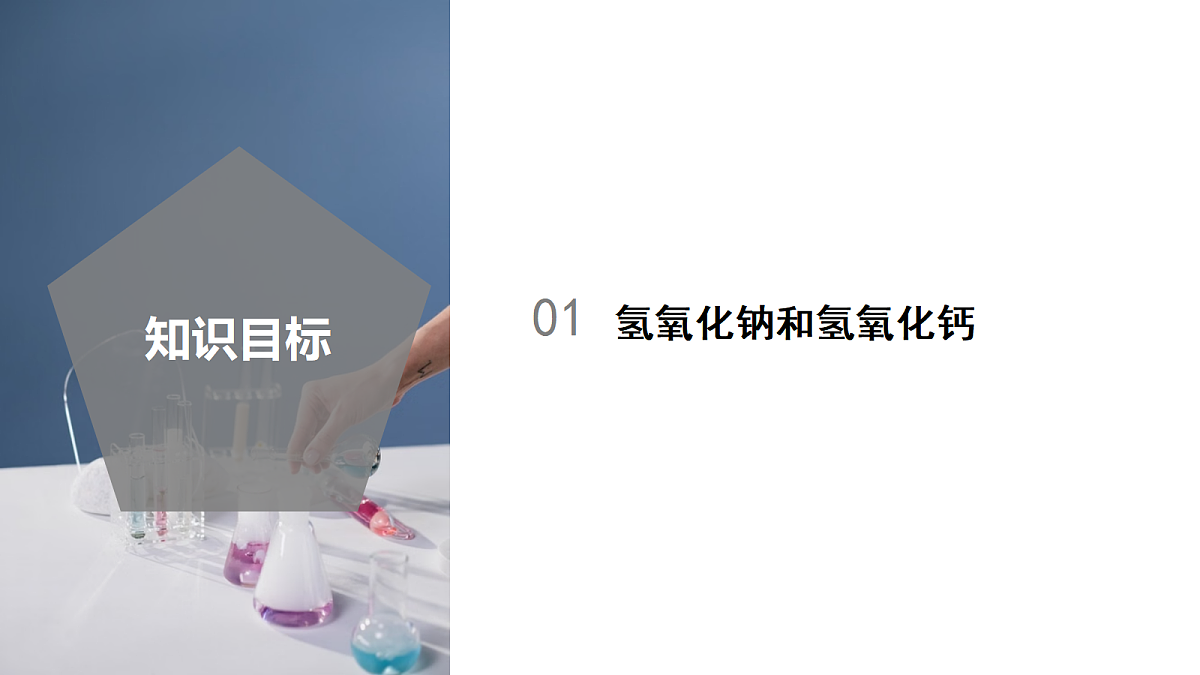 18556261第2页