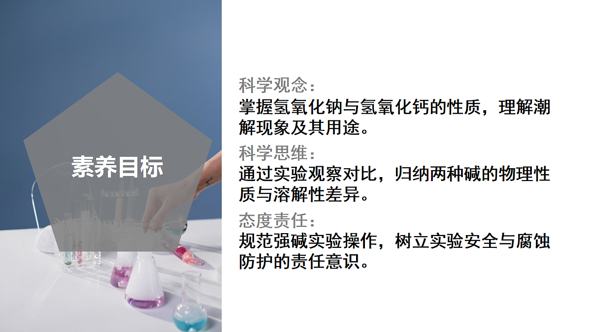 18556261第3页