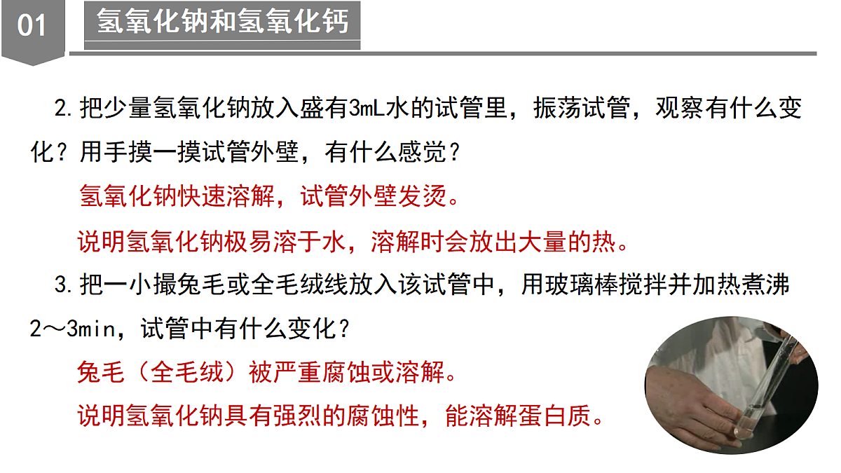 18556261第7页