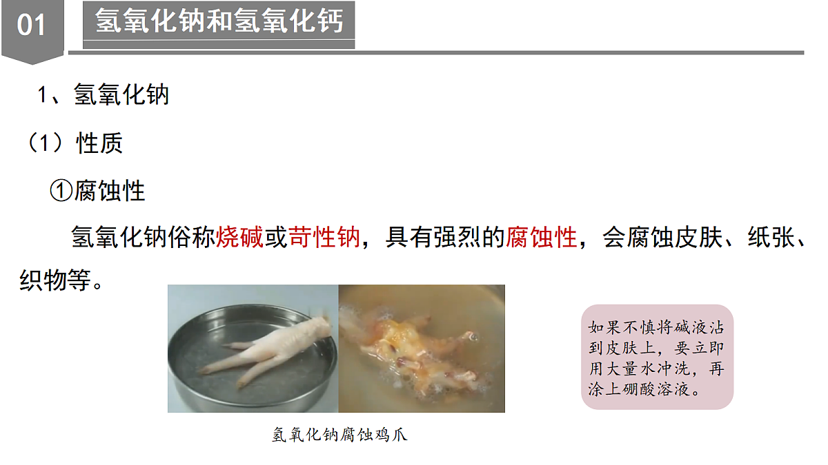 18556261第8页
