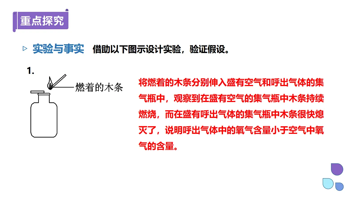 18556443第5页