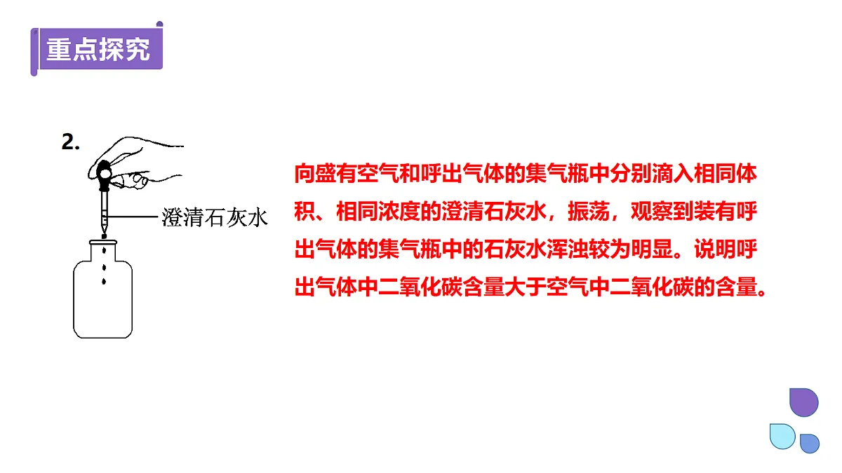18556443第6页