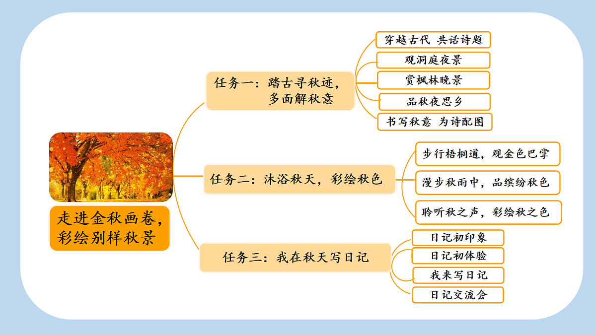 18556730第3页