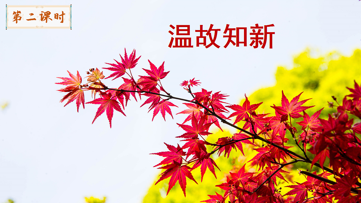 18556734第2页