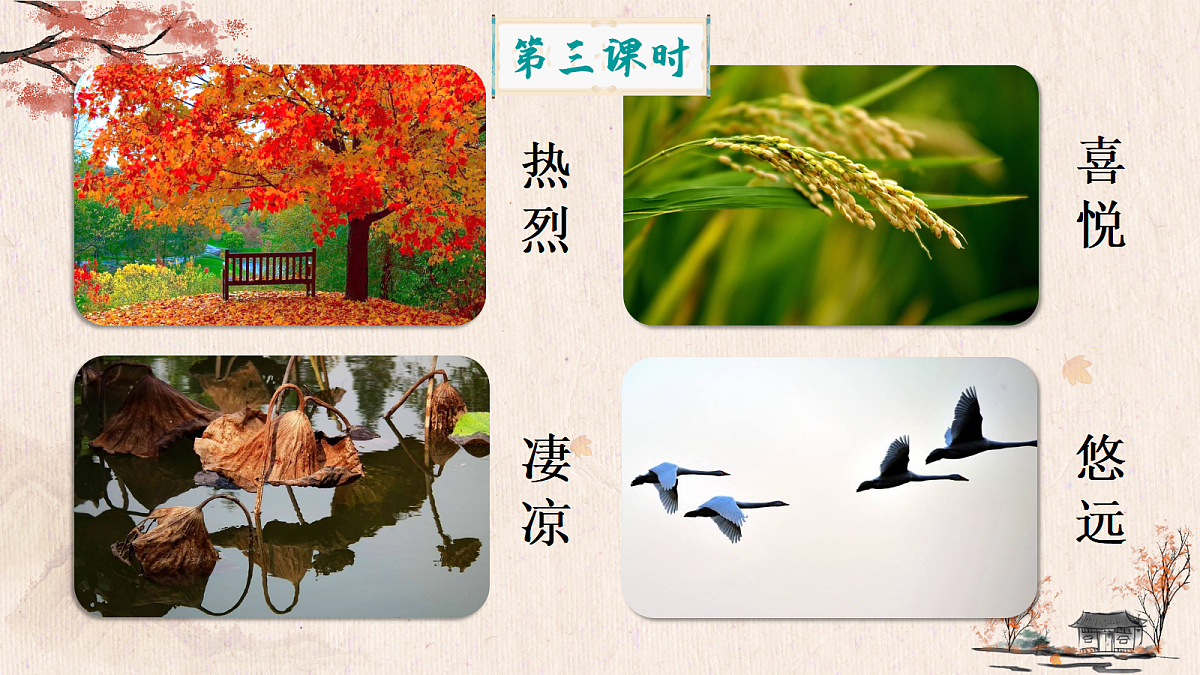 18556735第2页