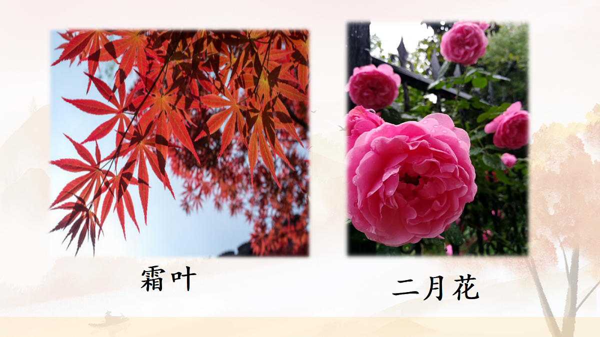 18556740第7页