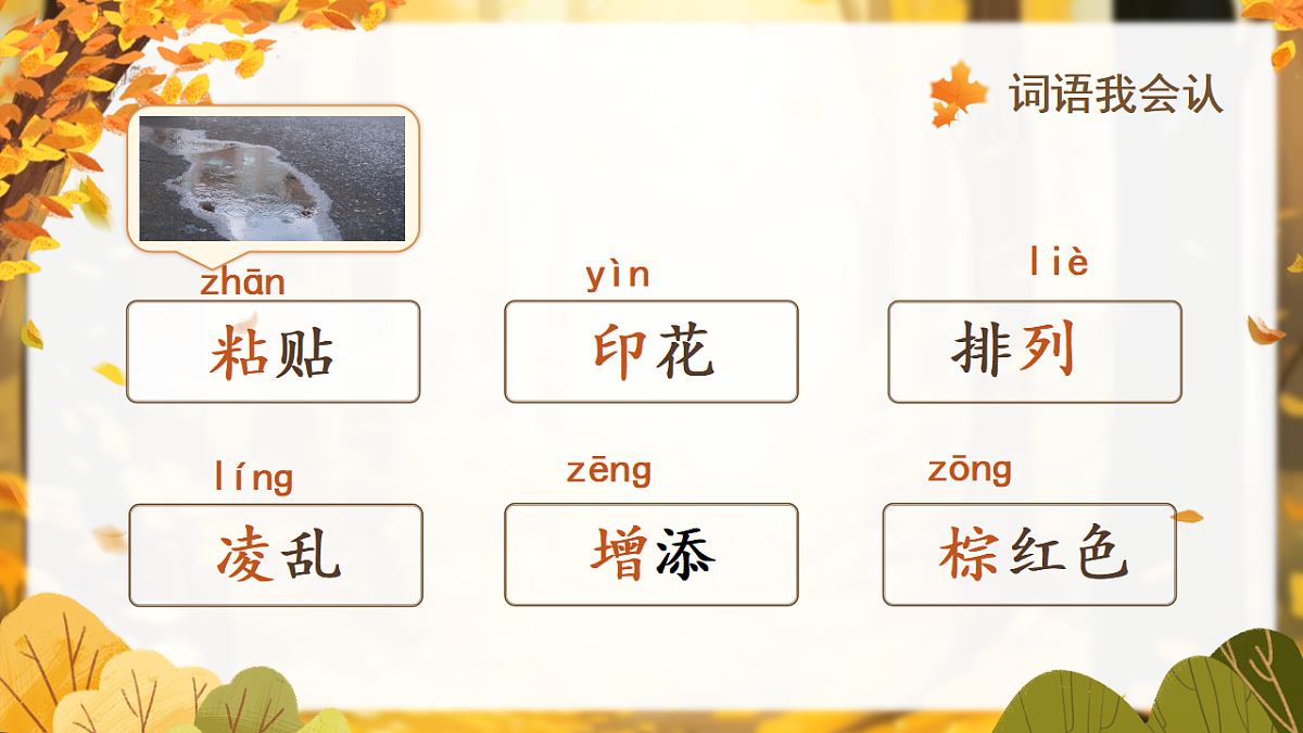18556748第6页