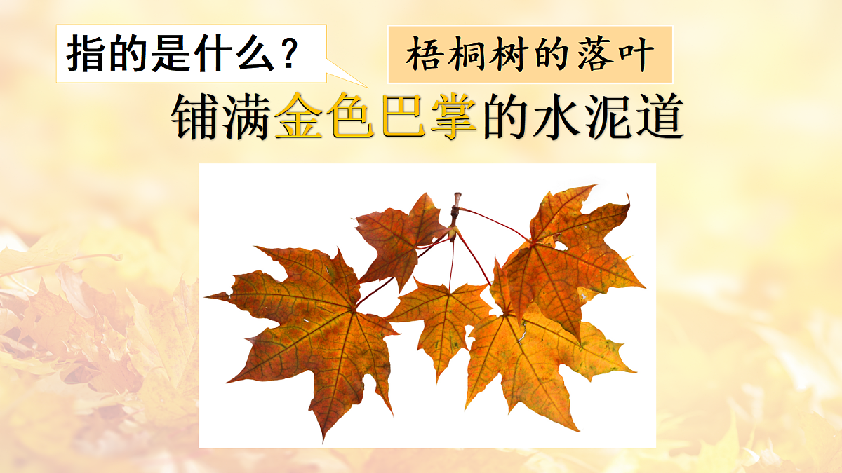 18556749第3页