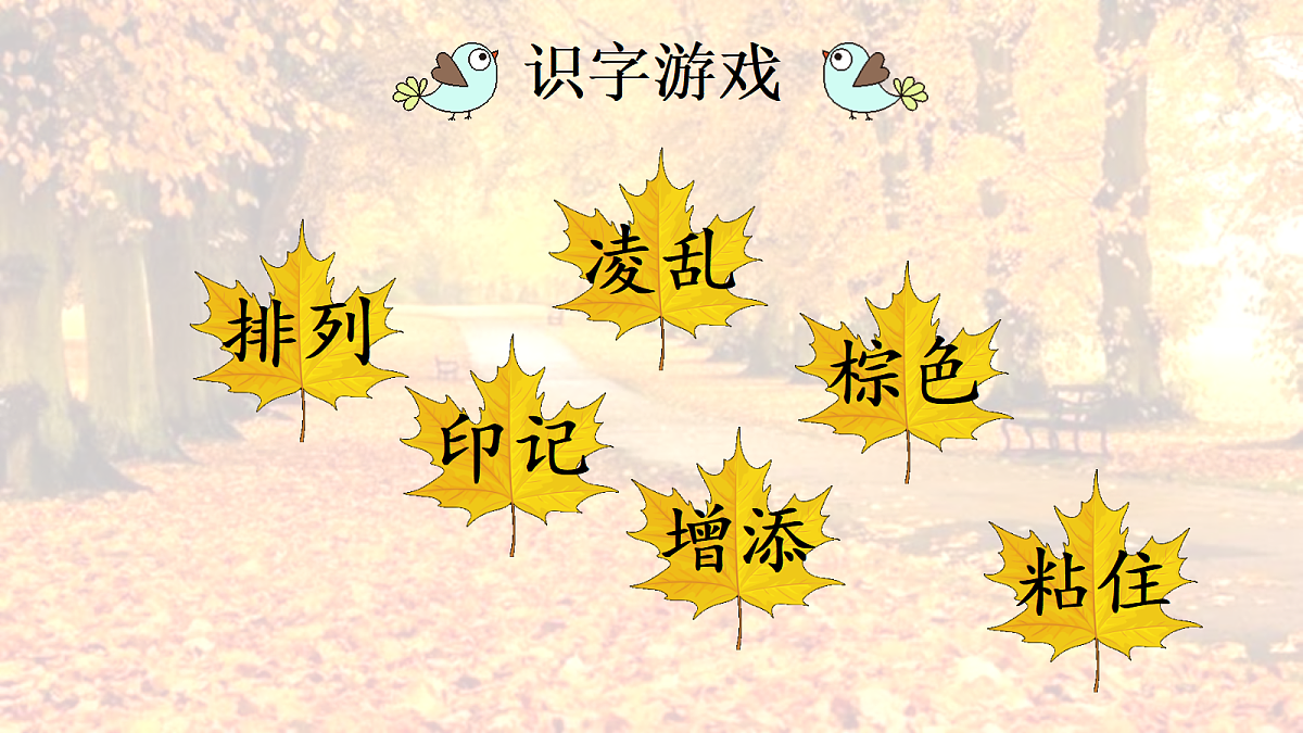 18556749第6页