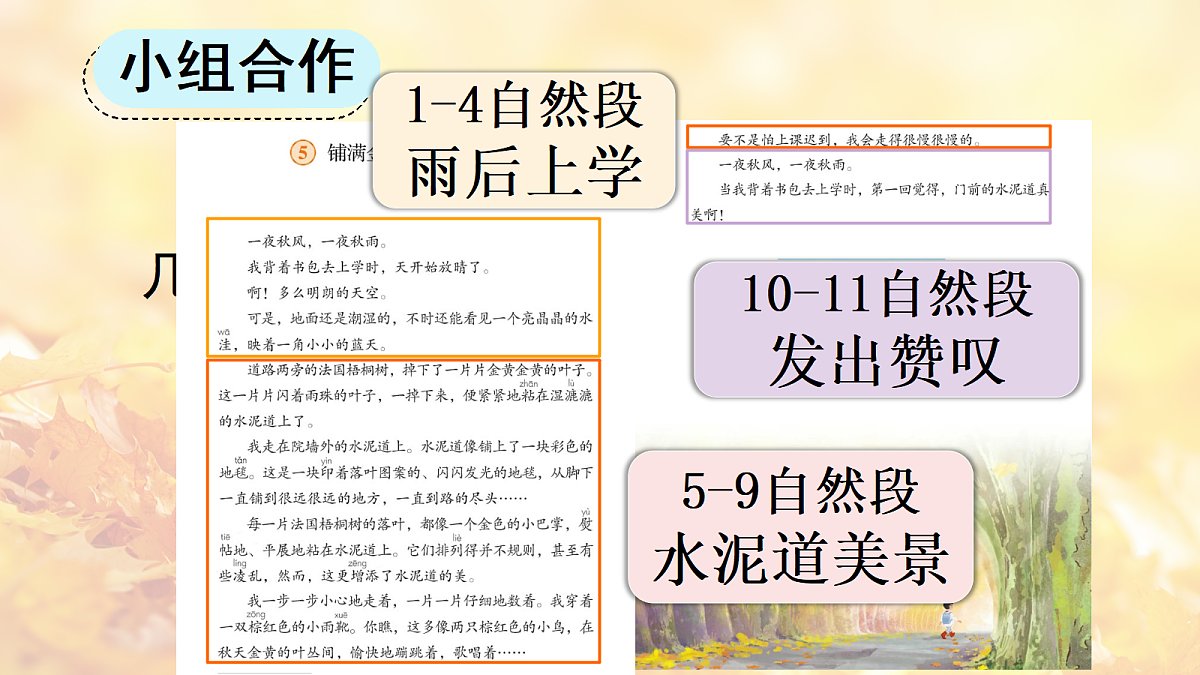 18556749第7页