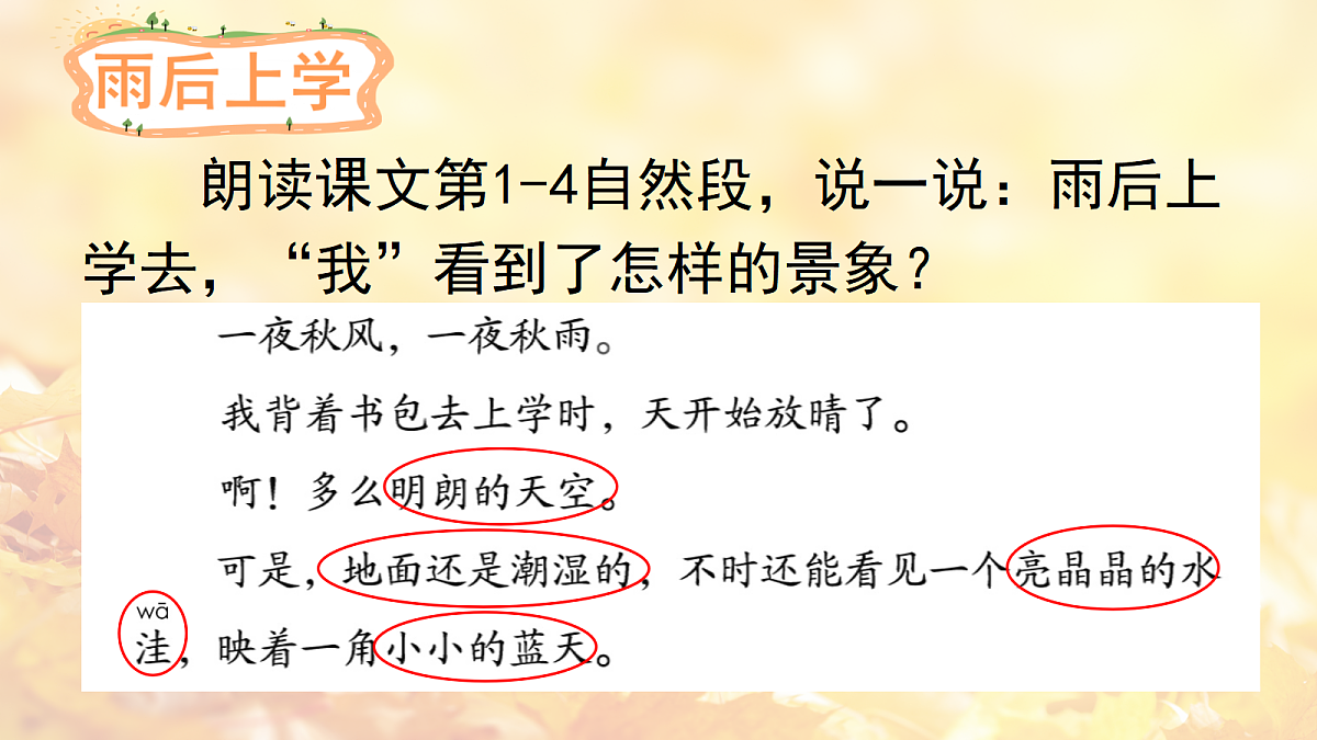 18556749第8页
