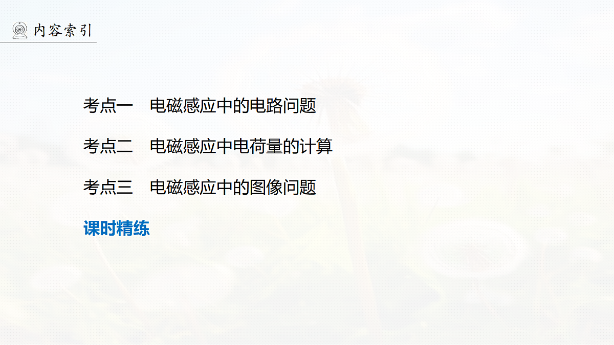 18556846第4页
