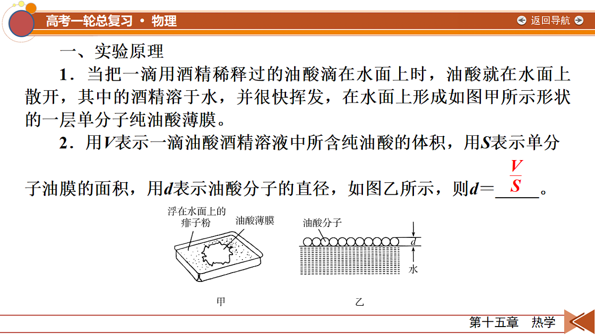 18556859第5页