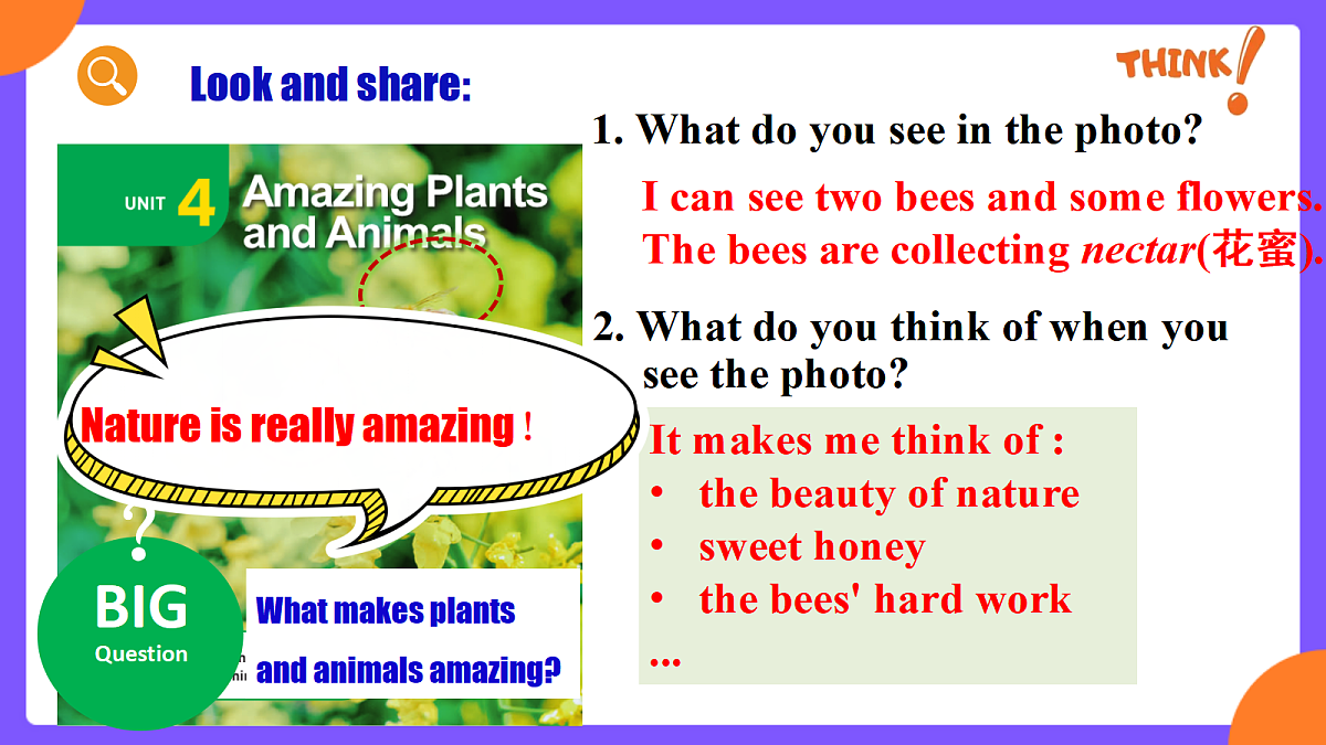 Unit 4 Amazing Plants and Animals   SectionA (1a-1d)第4页
