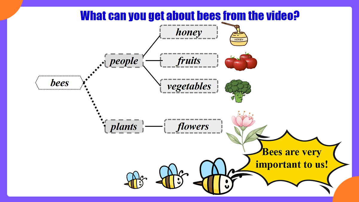 Unit 4 Amazing Plants and Animals  SectionB 1a-1f第4页
