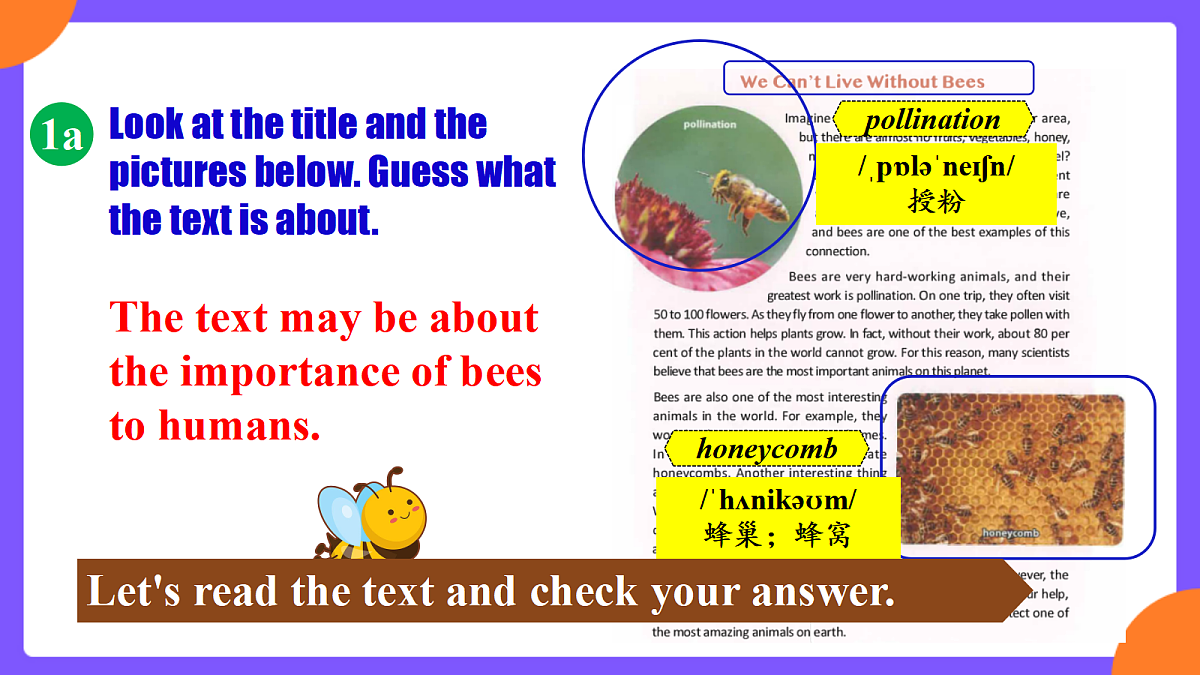 Unit 4 Amazing Plants and Animals  SectionB 1a-1f第5页