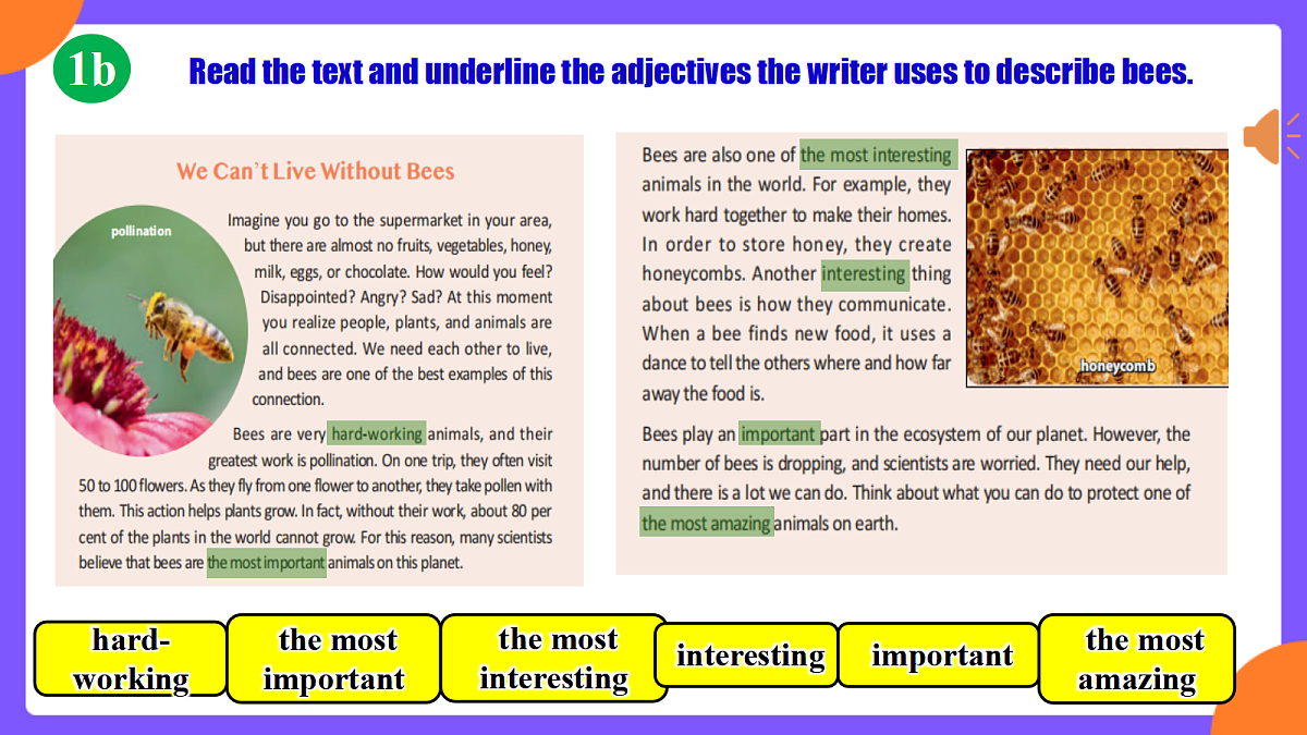 Unit 4 Amazing Plants and Animals  SectionB 1a-1f第6页