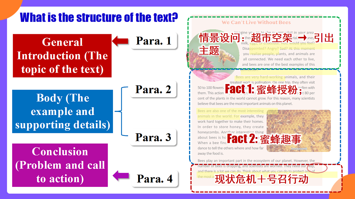 Unit 4 Amazing Plants and Animals  SectionB 1a-1f第8页