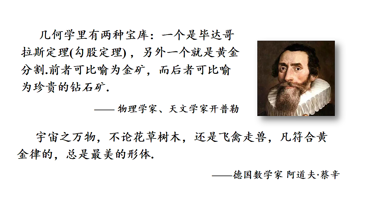 18559531第3页