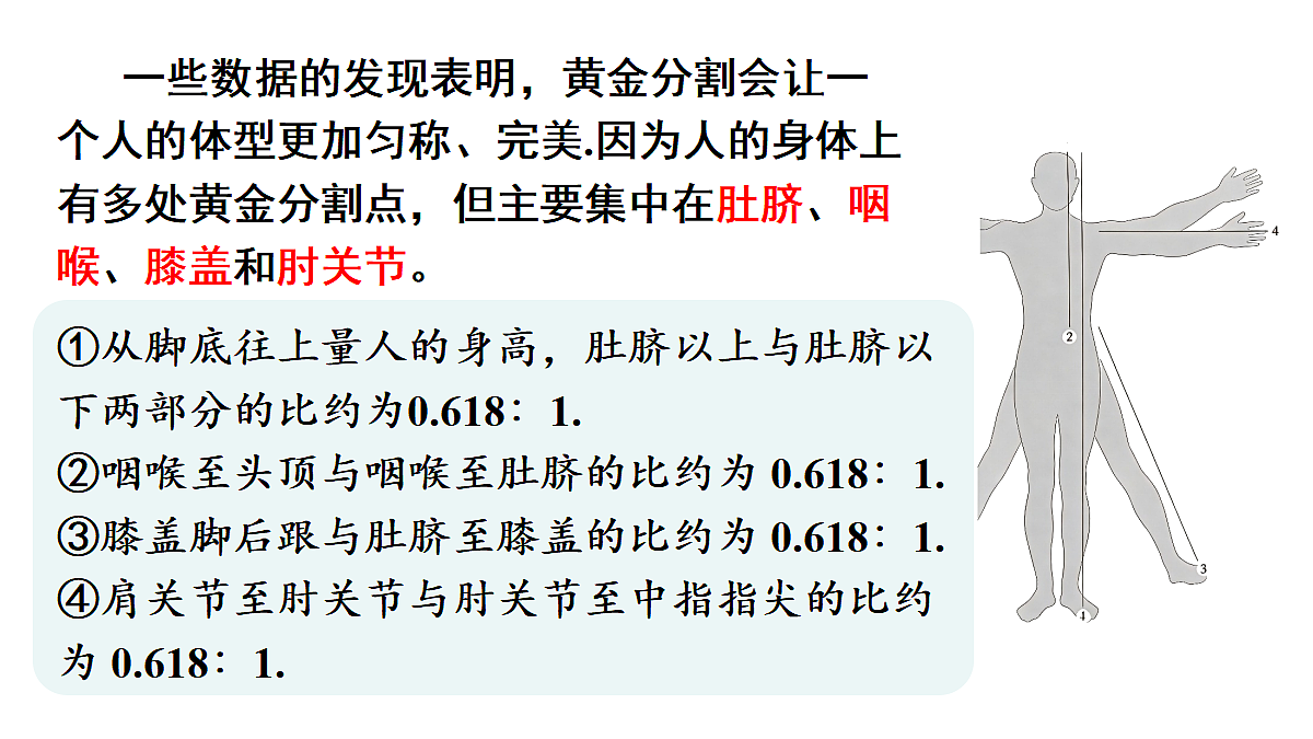 18559531第5页